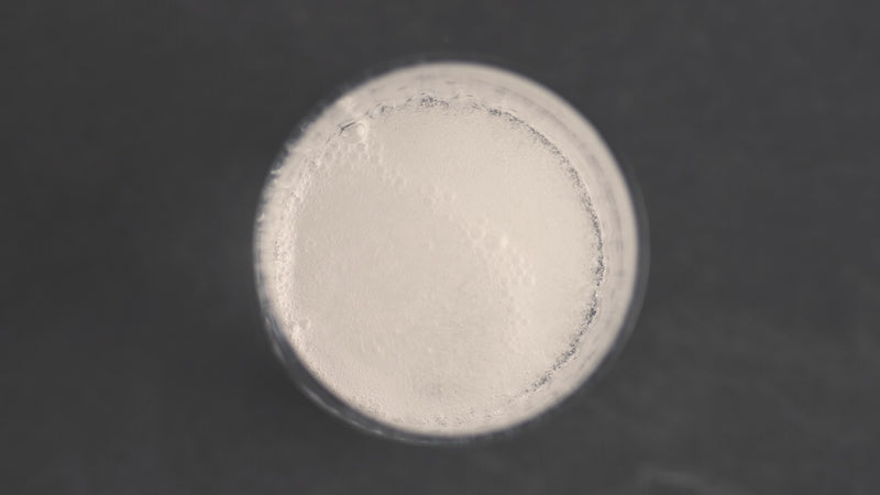 Ceramide